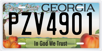 GA license plate PZV4901