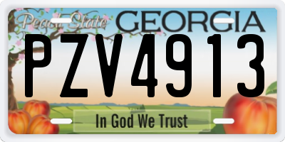 GA license plate PZV4913