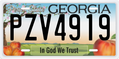 GA license plate PZV4919