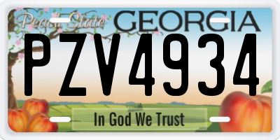 GA license plate PZV4934