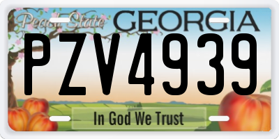 GA license plate PZV4939