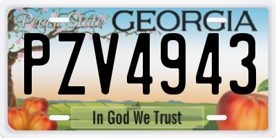 GA license plate PZV4943