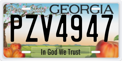 GA license plate PZV4947