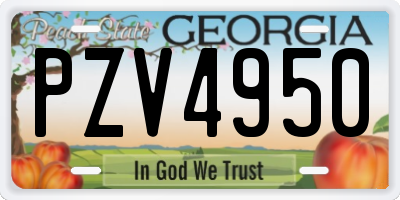 GA license plate PZV4950