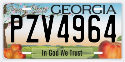 GA license plate PZV4964