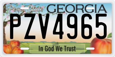 GA license plate PZV4965