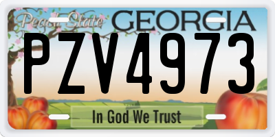 GA license plate PZV4973