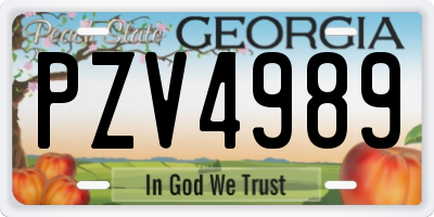 GA license plate PZV4989