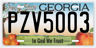 GA license plate PZV5003