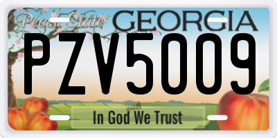 GA license plate PZV5009