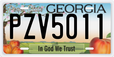 GA license plate PZV5011