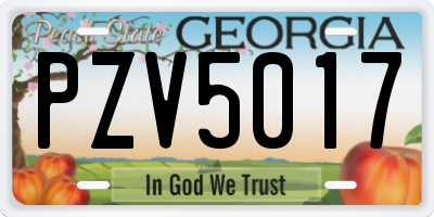 GA license plate PZV5017