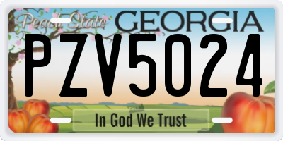 GA license plate PZV5024
