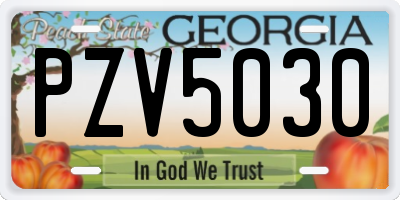 GA license plate PZV5030