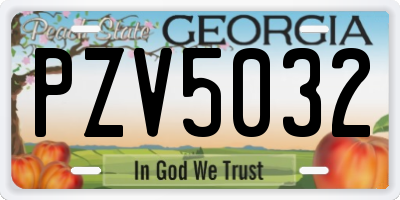 GA license plate PZV5032