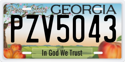 GA license plate PZV5043