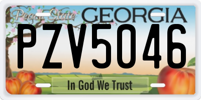 GA license plate PZV5046