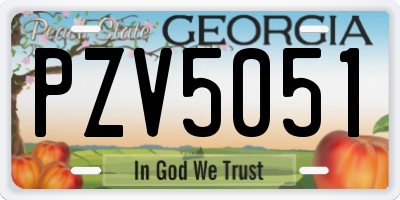 GA license plate PZV5051