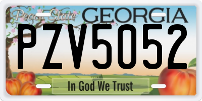GA license plate PZV5052