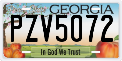 GA license plate PZV5072