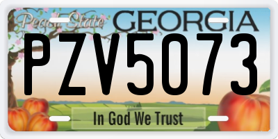 GA license plate PZV5073