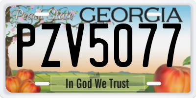 GA license plate PZV5077