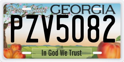 GA license plate PZV5082
