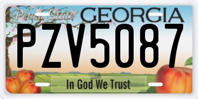 GA license plate PZV5087