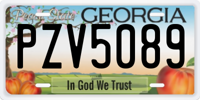 GA license plate PZV5089