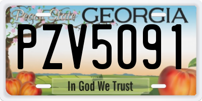 GA license plate PZV5091