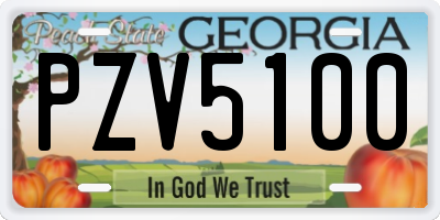 GA license plate PZV5100