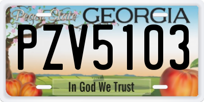 GA license plate PZV5103