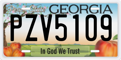 GA license plate PZV5109