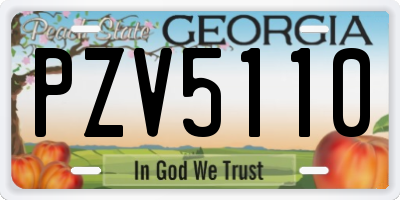 GA license plate PZV5110