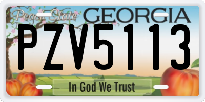GA license plate PZV5113