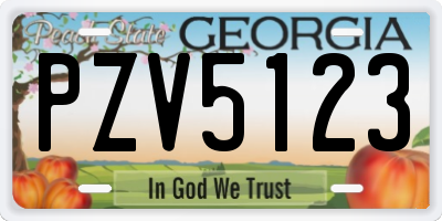GA license plate PZV5123