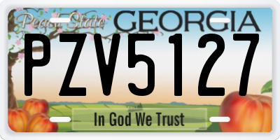 GA license plate PZV5127