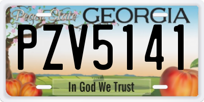 GA license plate PZV5141