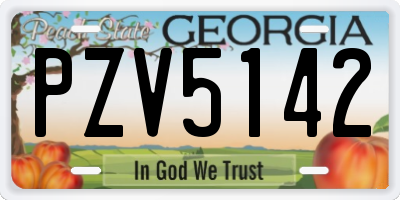 GA license plate PZV5142