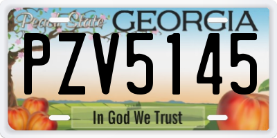 GA license plate PZV5145