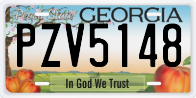 GA license plate PZV5148