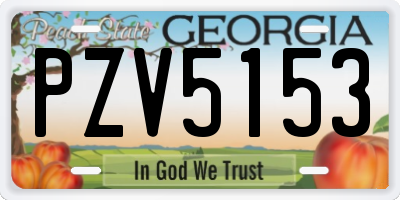 GA license plate PZV5153