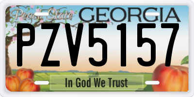 GA license plate PZV5157