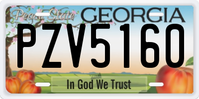 GA license plate PZV5160
