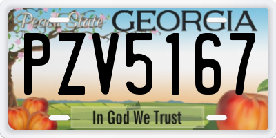 GA license plate PZV5167