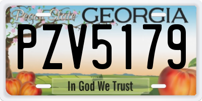 GA license plate PZV5179
