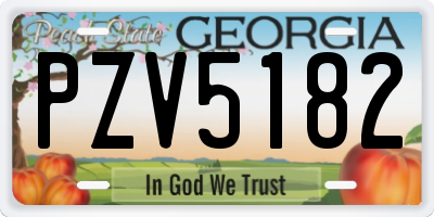 GA license plate PZV5182