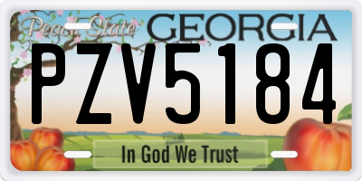 GA license plate PZV5184