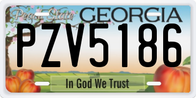 GA license plate PZV5186