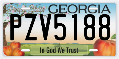 GA license plate PZV5188